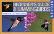 Beginners Guide West