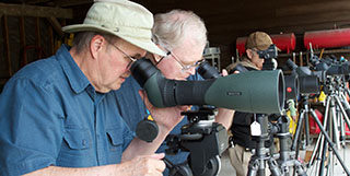 Birdwatching Dot Com