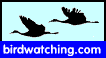 Birdwatching Dot Com