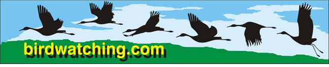 Birdwatching Dot Com