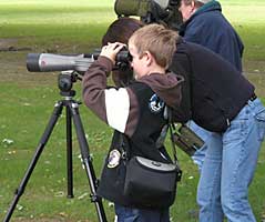 Dakota birding