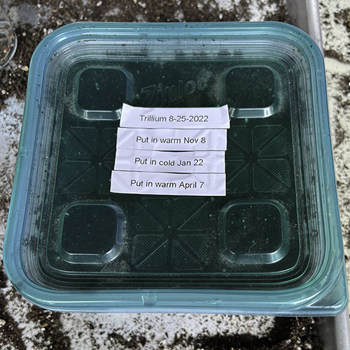 Ready for the Fridge