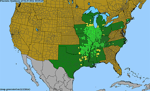 Range of Bloodroot