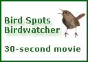 Bird spots birdwatcher