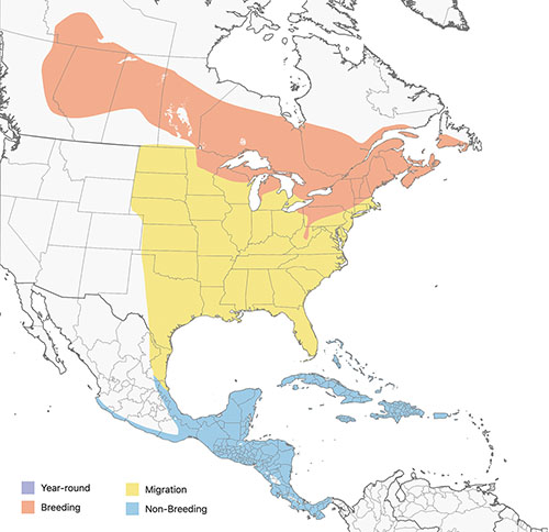 Cornell Lab map of warbler range