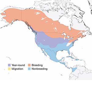 Range Map by Cornell Lab