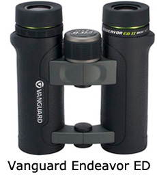 Vanguard Endeavor ED