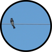 Good alignment