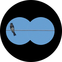 Good alignment