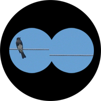 Out of alignment