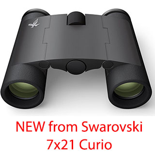 Swarovski Curio