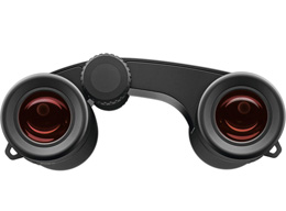 Zeiss Victory Pocket
